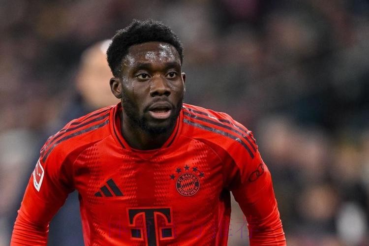 马卡:皇马有意引进阿方索 已与拜仁进行过交流 马卡:皇马有意引进阿方索 已与拜仁进行过交流